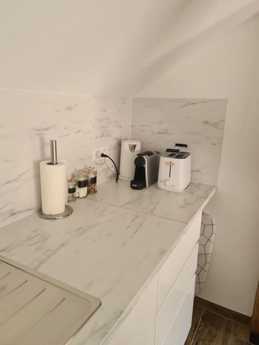 Proche Aeroport Bale/mulhouse Appartement
