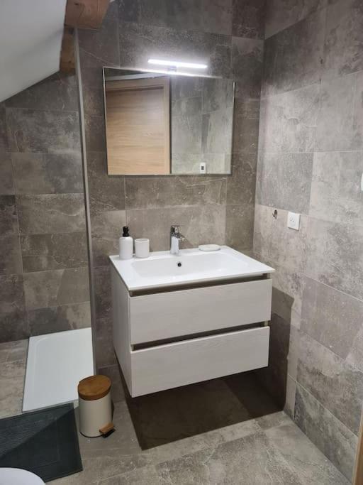 Appartement Proche Aeroport Bale/mulhouse *